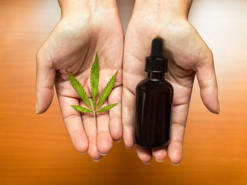 Como o THCV regula a compulsão por doces e carboidratos