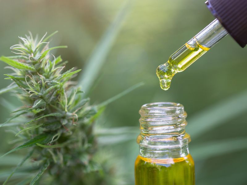 THCV acelera o metabolismo O que dizem os estudos