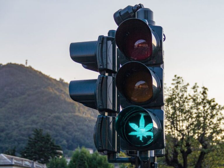 THCV faz mal O que a ciência já sabe sobre sua segurança