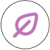 06.png